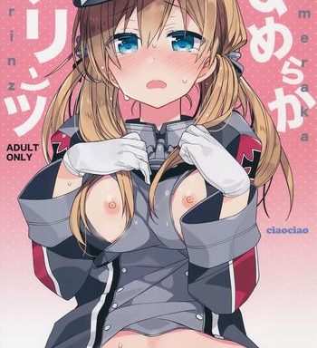 nameraka prinz cover