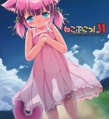 neko puni vol 11 cover