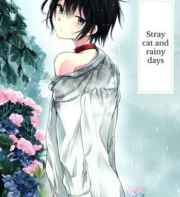 nora neko to rainy days cover