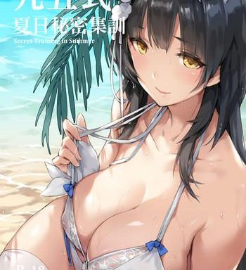 type 95 summer secret training cover