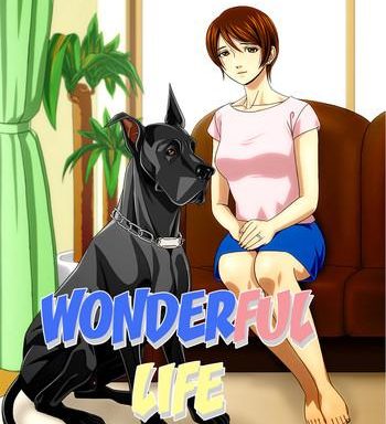 wonderful life cover