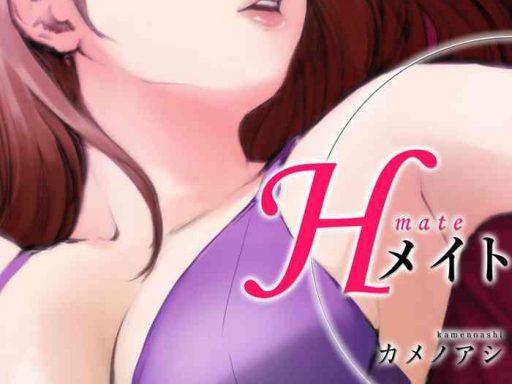 h mate 1 4 cover