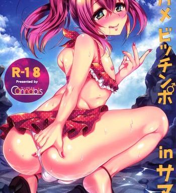 sokuhame bitchinpo in summer cover