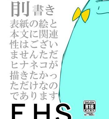 fhs cover