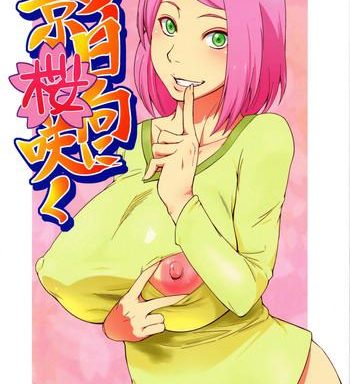 kage hinata ni sakura saku cover