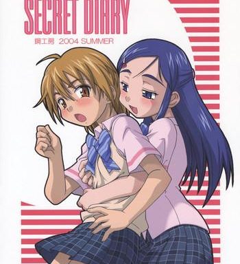 secret diary cover