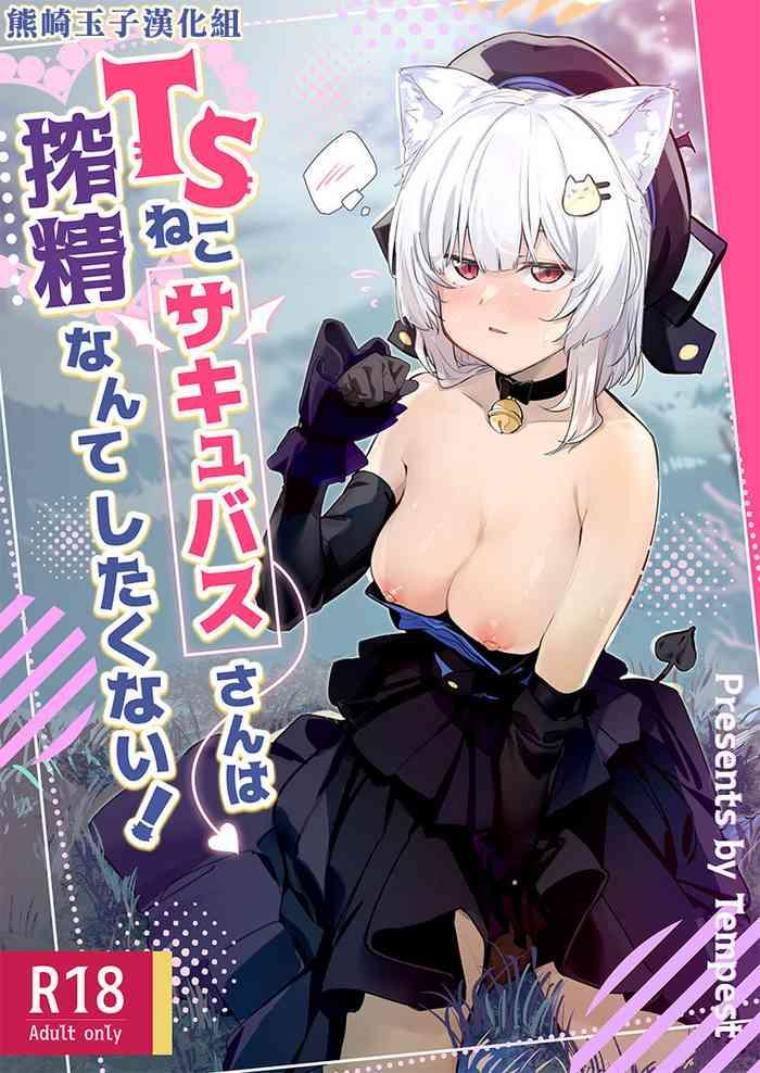 ts neko succubus san wa sakusei nante shitakunai cover