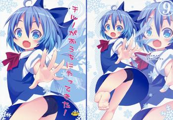 cirno ga ouchi ni yattekita cover