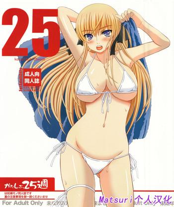 katashibu 25 shuu cover