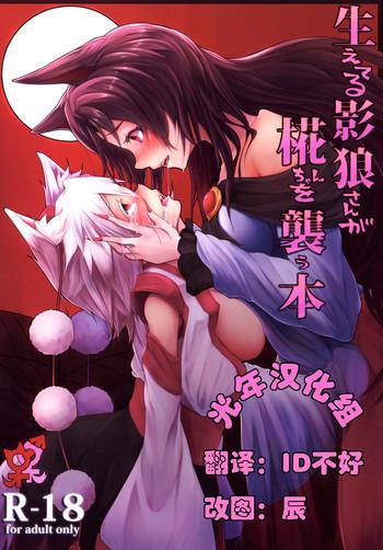 reitaisai 11 tecoya yatsugi teco haeteru kagerou san ga momiji chan wo osou hon touhou project chinese cover