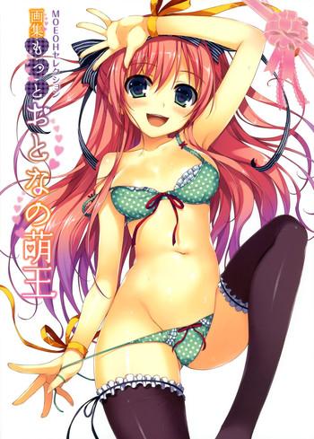 moeoh selection artbook motto otona no moeoh cover