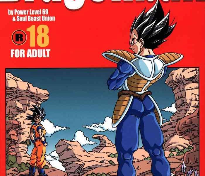 dragonball fan book special cover