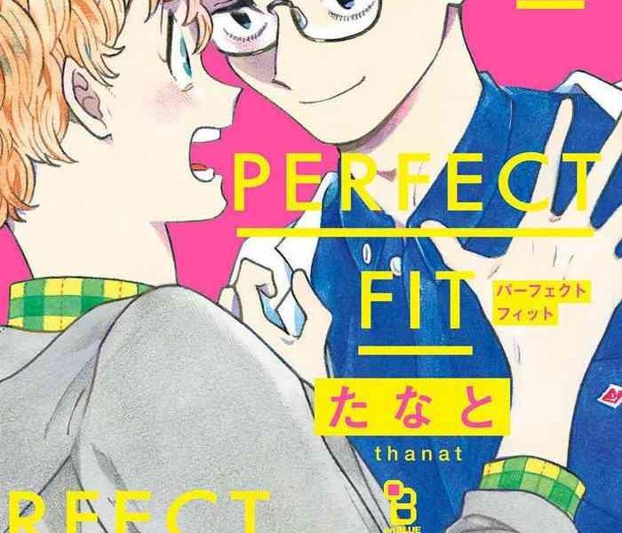 perfect fit ch 1 6 cover