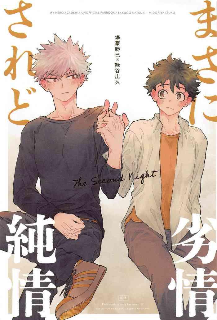 masani retsujou saredo junjou the second night cover