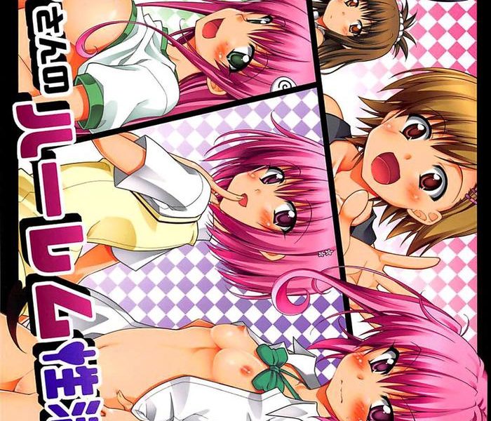 rito san no harem seikatsu 6 rito x27 s harem lifestyle 6 cover