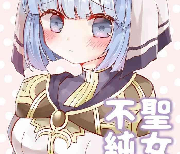seijo fujunbyou silque x27 s celebration book cover