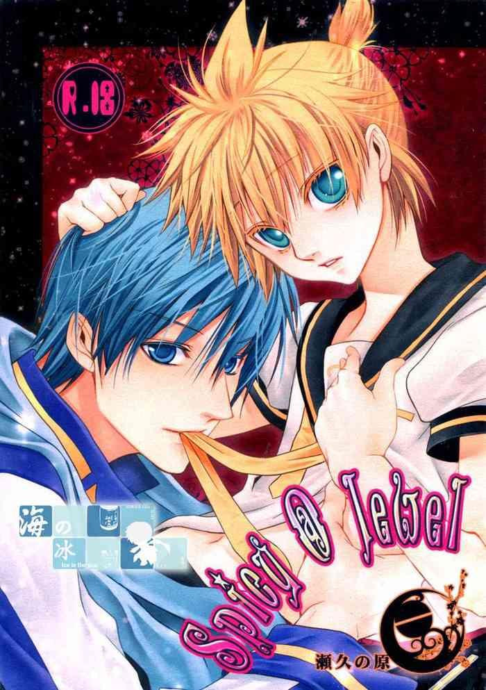 spicy jewel cover